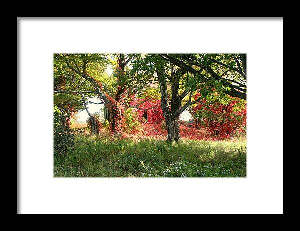 Abandoned Farmhouse Framed Print featuring the photograph Natures paintbrush by Sue Long