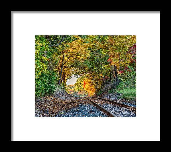Train Framed Print featuring the photograph Nature's Tunnel by Rod Best