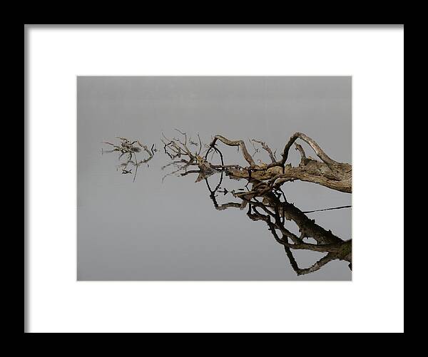 Driftwood Pond Reflections Framed Print featuring the digital art Nature's Work In Progress by I'ina Van Lawick