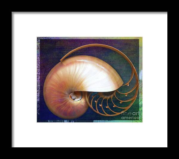 Fine Art Photography Framed Print featuring the photograph Nautilus #2, Overarching by John Strong