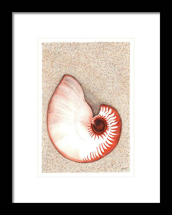 Nautilus Framed Print featuring the painting Nautilus Shell by Hilda Wagner