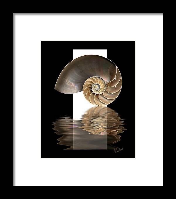 Nautilus Shell Framed Print featuring the digital art Nautilus Shell by Judi Quelland