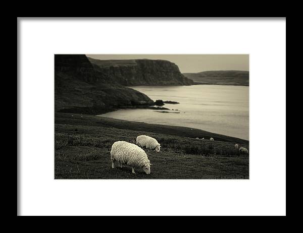 Sheep Framed Print featuring the photograph Neist Point by Jerry LoFaro