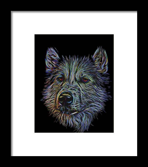 Animal Framed Print featuring the photograph Neon Husky by Brian Cross