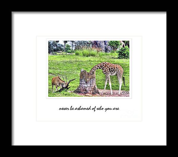 Giraffe Framed Print featuring the photograph Never Be Ashamed by Traci Cottingham