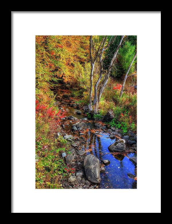 New England Fall Foliage Framed Print featuring the photograph New England Fall Foliage Art by Joann Vitali