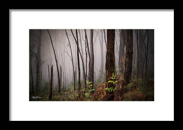 Fog Framed Print featuring the photograph New Life by Andrew Dickman
