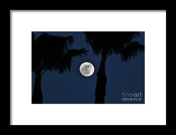 Rancho Santa Margarita Framed Print featuring the photograph New Years Eve Moon Rise by Donn Ingemie