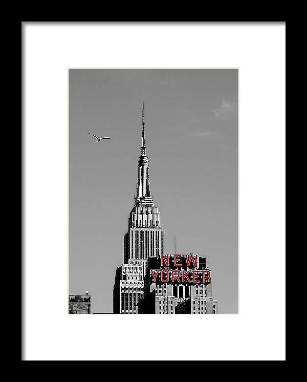 New Yorker Framed Print featuring the photograph New Yorker by Dark Whimsy