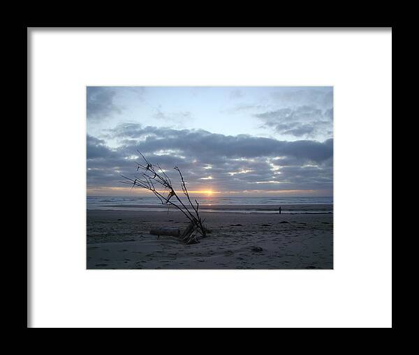 Sunset On The Beach Framed Print featuring the photograph Newport Beach Oreogn by Lisa Rose Musselwhite