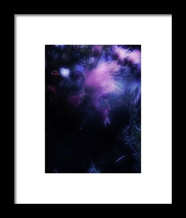 Image Created On Instagram Via @kmessmer53 Framed Print featuring the photograph Night Bloom by Kathleen Messmer