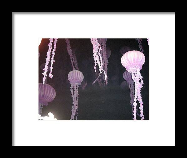 Pink Framed Print featuring the photograph Night of the Jellies by B A Bunting 