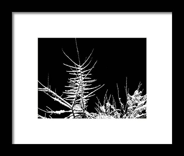 Night Framed Print featuring the photograph Night Shot 1 by Will Borden