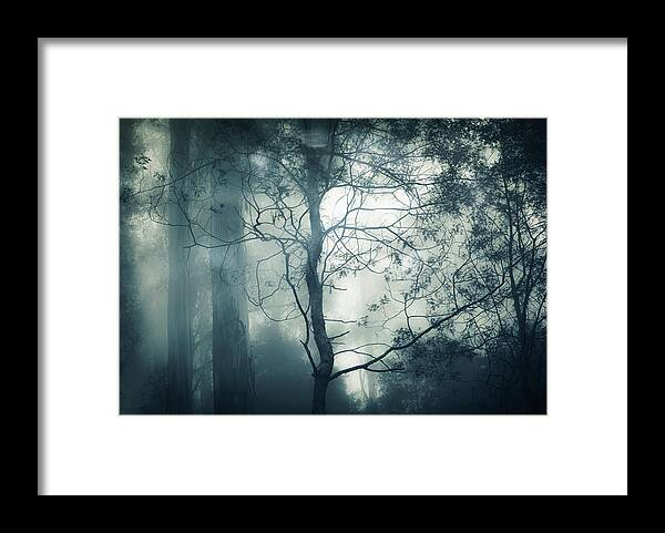 Fog Framed Print featuring the photograph Nightfall by Amy Weiss