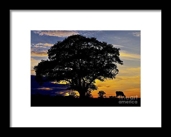 Sunset Framed Print featuring the photograph Nightfall on the Farm by Martyn Arnold