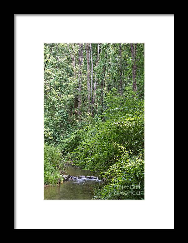Nature Framed Print featuring the photograph Nixon Creek by Chris Scroggins