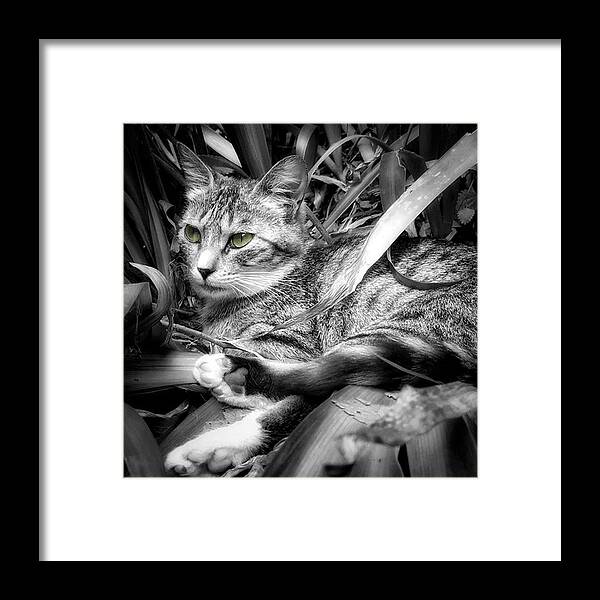 Big_shotz_bw Framed Print featuring the photograph .
.
japan 2:20pm.
.
.
“the Role by Chihoko Tachi