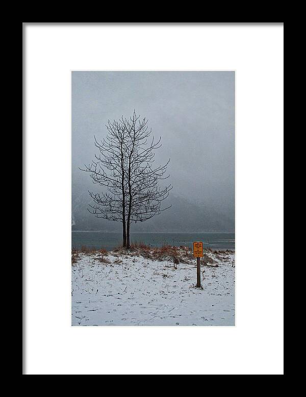 Snow Framed Print featuring the photograph No Lifeguard on Duty by Cathy Mahnke