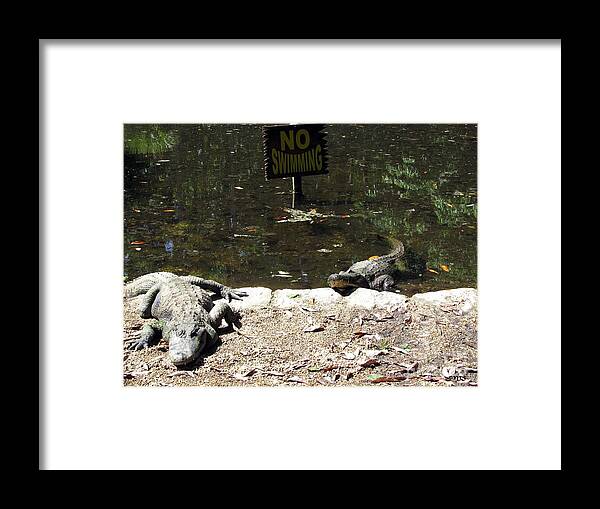 Water Framed Print featuring the photograph No Swimming by Julia Stubbe