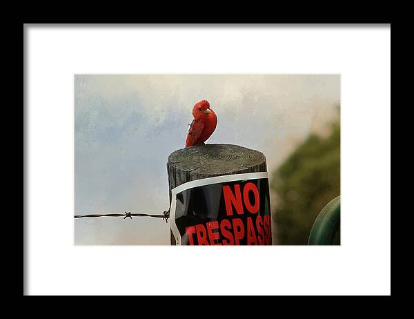 No Trespassing Framed Print featuring the digital art No Trespassing by TnBackroadsPhotos