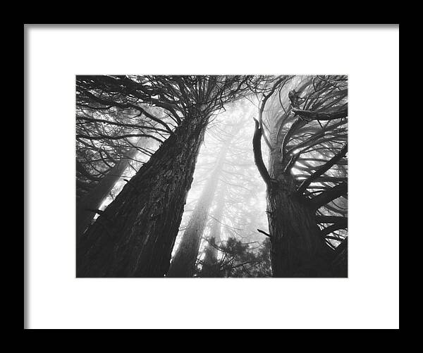 Mist Framed Print featuring the digital art Noble Arms by Kevyn Bashore