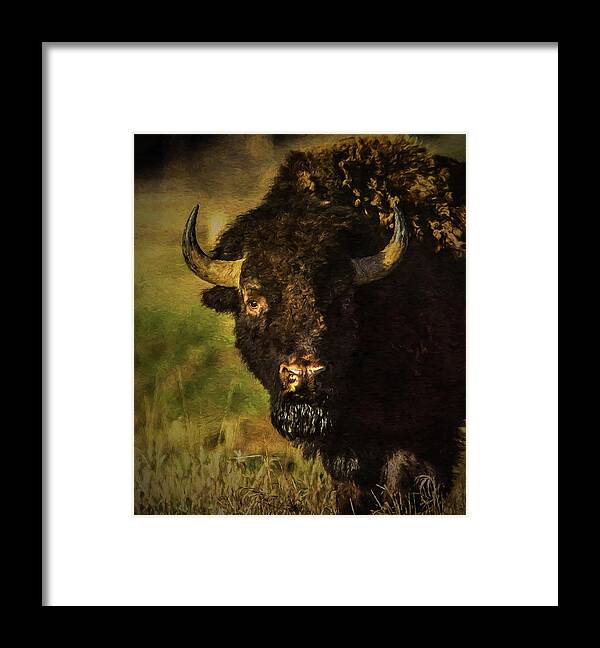 Bison Framed Print featuring the photograph North American Buffalo by Lou Novick