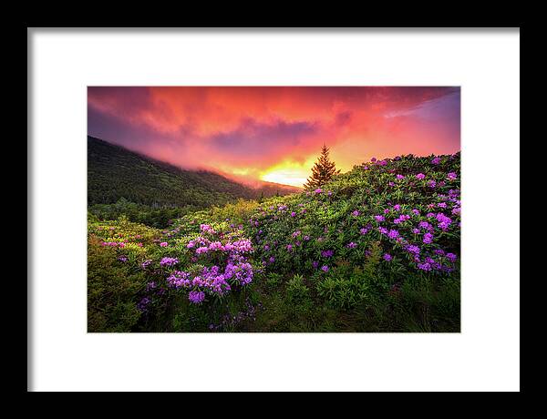 Mountains Framed Print featuring the photograph North Carolina Mountains Outdoors Landscape Appalachian Trail Spring Flowers Sunset by Dave Allen