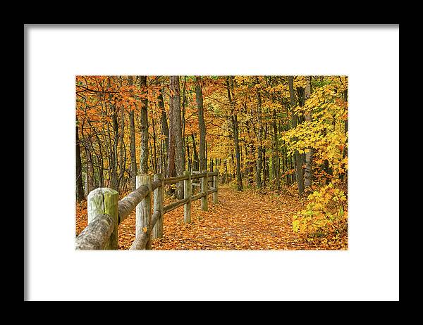 North Country Trail Framed Print featuring the photograph North Country Trail 1 by Steve L'Italien