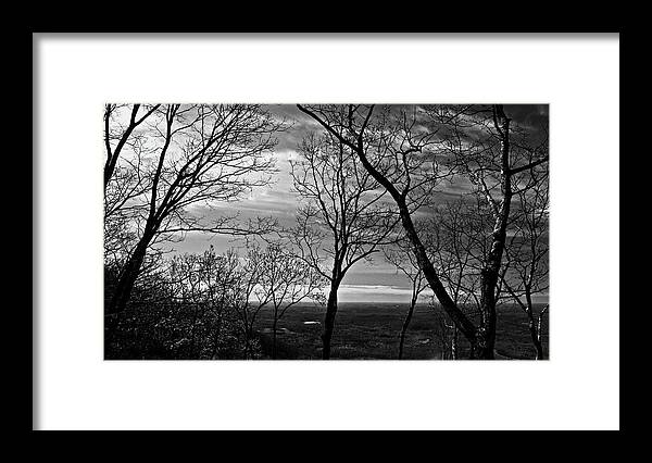 Forest Framed Print featuring the photograph North Georgia View by George Taylor