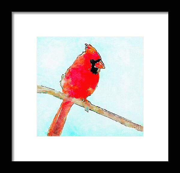 Northern Cardinal Framed Print featuring the painting Northern Cardinal by Modern Watercolor Art