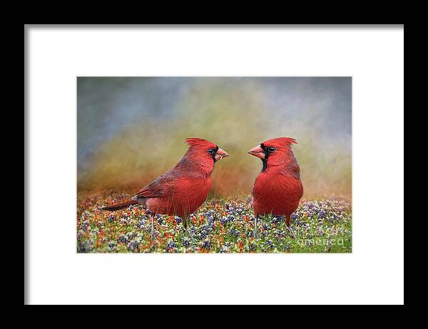 Northern Cardinals Framed Print featuring the photograph Northern Cardinals in Sea of Flowers by Bonnie Barry