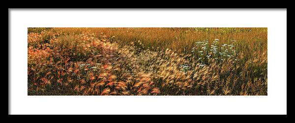 Panorama Framed Print featuring the photograph Northern Summer by Doug Gibbons