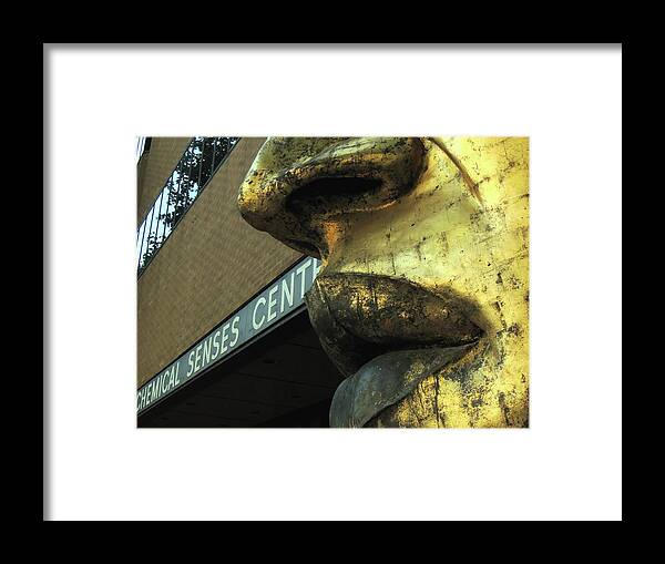 Gold Framed Print featuring the photograph Nose and Lips by Vincent Green