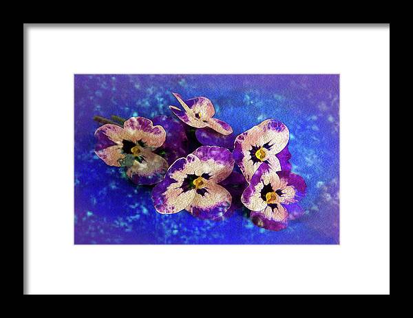 Pansies Framed Print featuring the photograph Nosegay of Pansies by Vanessa Thomas