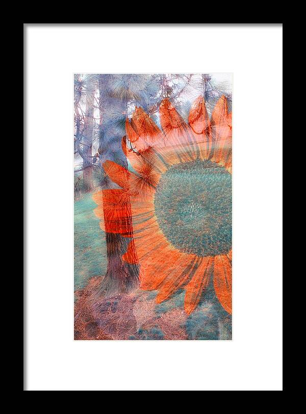 Sunflower Framed Print featuring the photograph Not Another Sunflower by Myrna Migala