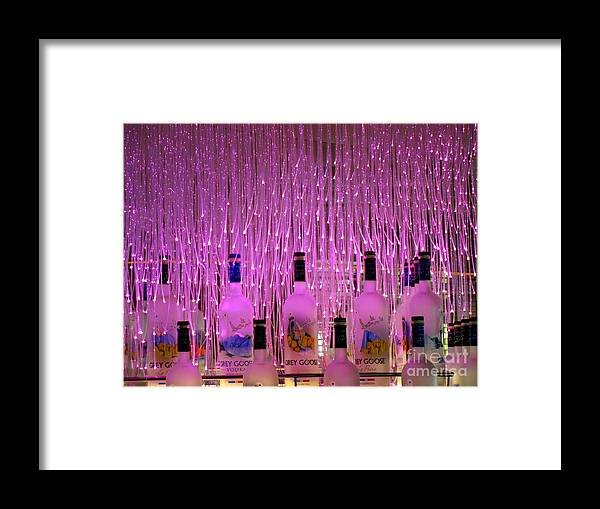 Grey Goose Framed Print featuring the photograph Not So Grey Goose by Randall Weidner