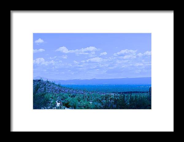 Blue Framed Print featuring the photograph Not So True Blue by Melisa Elliott