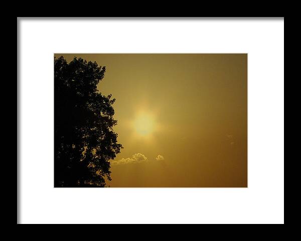 Sunset Framed Print featuring the photograph Not Your Average Mellow Yellow by Jenny Gandert