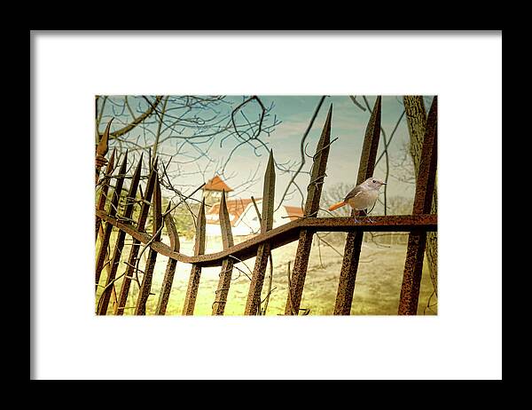 Fence Framed Print featuring the photograph Nothings Perfect by Diana Angstadt