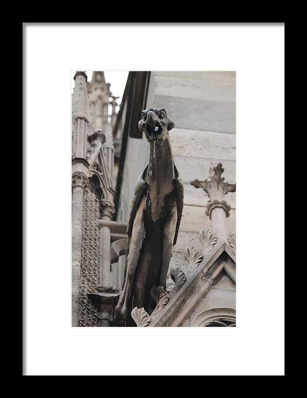 Notre Dame Cathedral Framed Print featuring the photograph Rain Spouting Gargoyle. by Christopher J Kirby