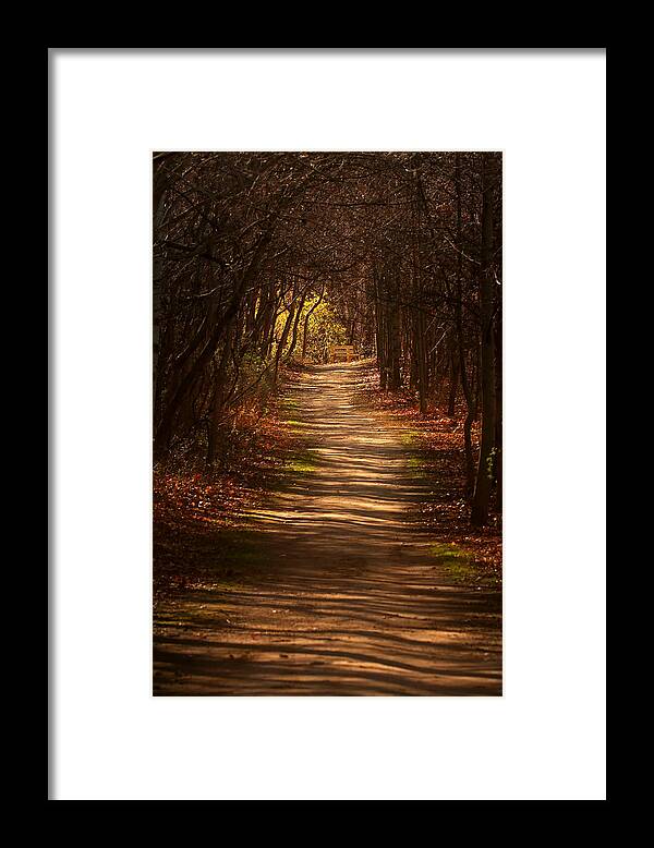 Pathway Framed Print featuring the photograph November Shadows by Rob Blair