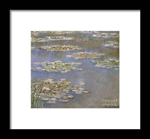 French Framed Print featuring the painting Nympheas by Claude Monet