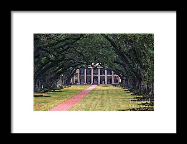 Oak Alley Framed Print featuring the photograph Oak Alley by Perry Webster