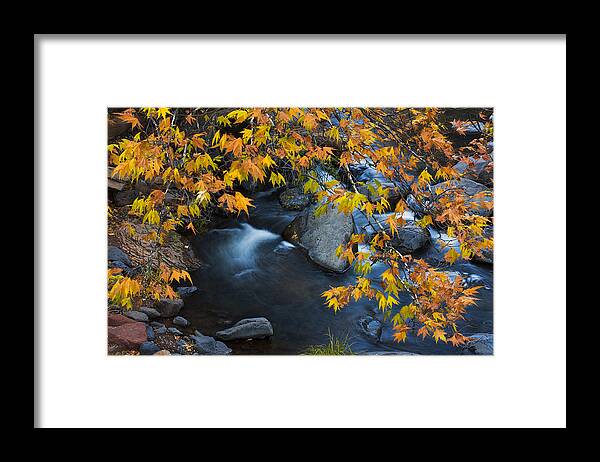 Fall Colors Framed Print featuring the photograph Oak Creek Canyon at Slide Rock in the Fall by Dave Dilli