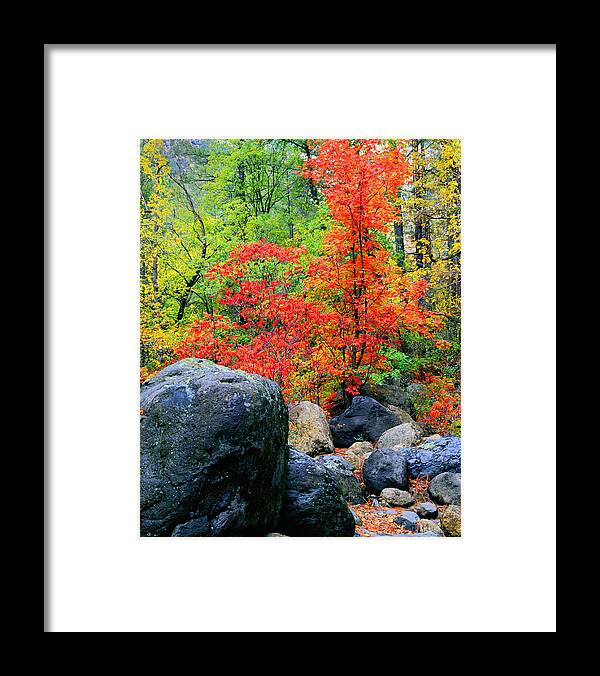 Arizona Framed Print featuring the photograph Oak Creek Canyon Red by Frank Houck