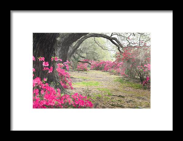 Magnolia Plantation And Gardens Framed Print featuring the photograph Oak Lane Impressions by Kim Carpentier