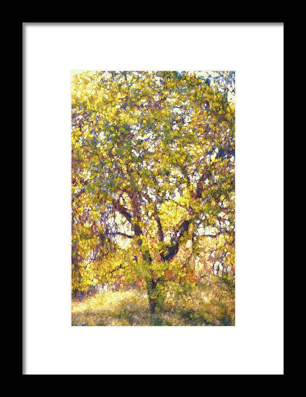 Tree Framed Print featuring the photograph Oaks 29 by Pamela Cooper