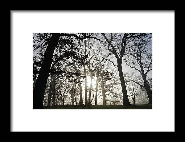 Fog Framed Print featuring the photograph Oaks in Silhouette by Brooke Bowdren