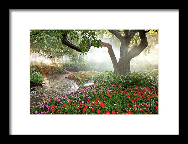August Framed Print featuring the photograph Oasis by Susan Cole Kelly