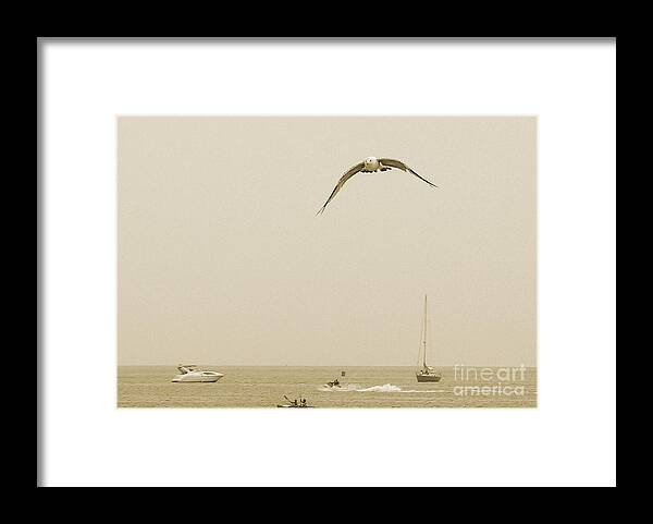 Bird Framed Print featuring the photograph Ocean Fun by Raymond Earley